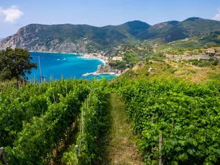 Foto auf Acrylglas Cinque Terre Trail bei Monterosso al Mare © salparadis