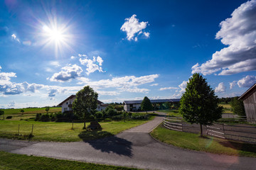 Bauernhof im Sommer
