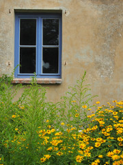 Landidyll: Gelbe Blumen vor Fenster