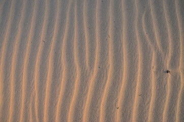 The sand on the Zambezi river. Zimbabwe.
