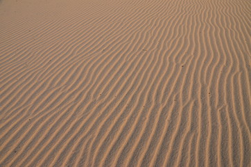 The sand on the Zambezi river. Zimbabwe.