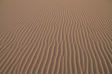 The sand on the Zambezi river. Zimbabwe.