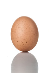 chicken egg standing vertical isolated on white background