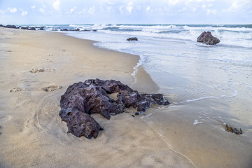 Fototapeta premium A quiet beach in Natal Brazil