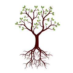 Color Tree with Roots. Vector Illustration.