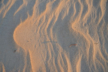 The sand on the Zambezi river. Zimbabwe.