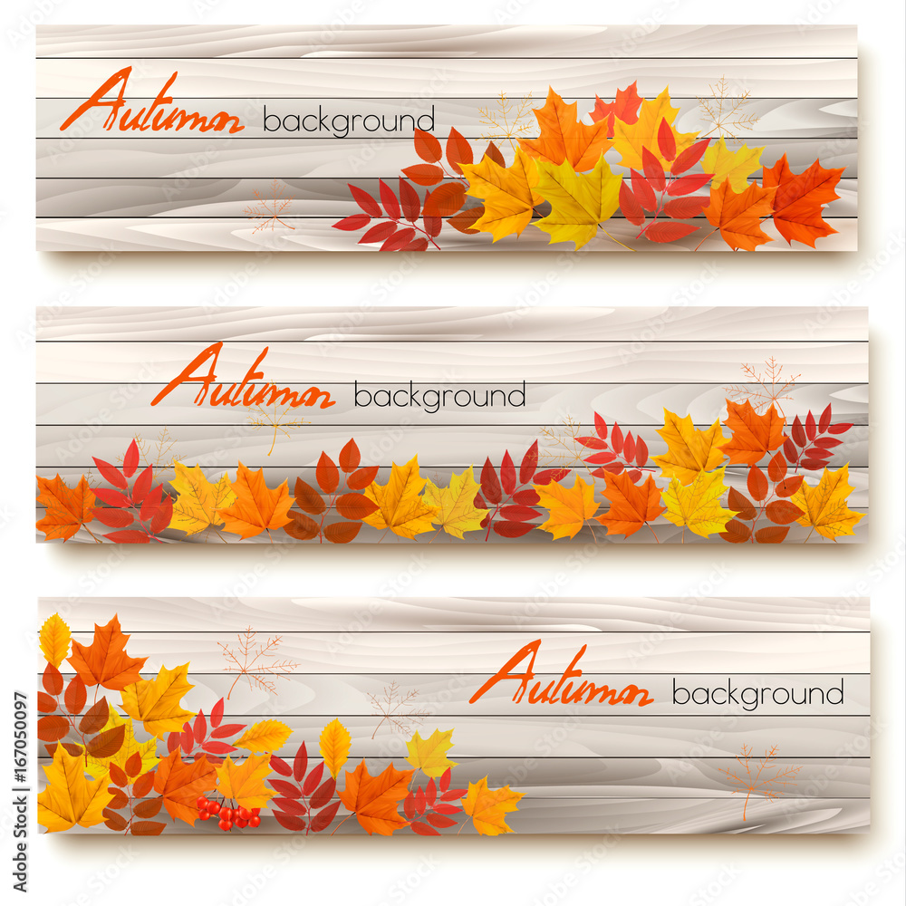 Poster Set of three vector banners with colorful autumn leaves.