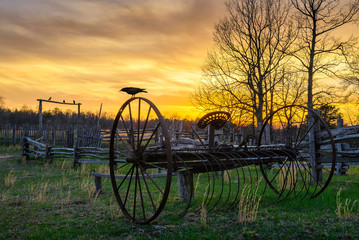hay rake and crow at sunset