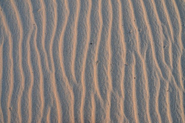 The sand on the Zambezi river. Zimbabwe.