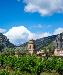 Fototapeta na wymiar Village médiéval Liguerre de Cinca Aragon Espagne