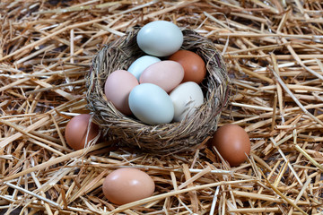 Naturally colorful eggs in bird nest for Easter holiday background