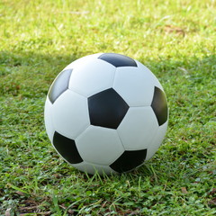 Football or soccer ball on the lawn with green grass background,outdoor activities.