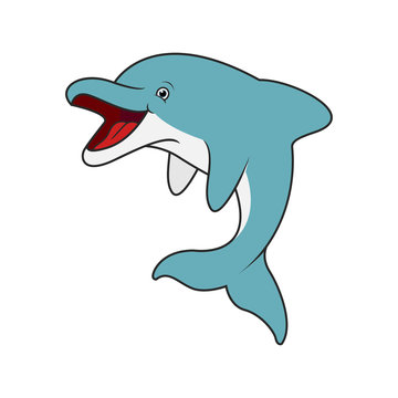 dolphin cartoon vector