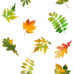 Autumn background watercolor. Floral seamless pattern with autumn leaves watercolor in hand painting style on white background