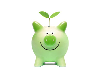 Green piggy bank with a young green plant isolated / Green business concept