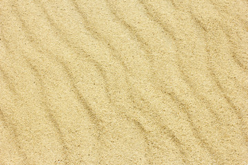 Fototapeta na wymiar Sand Texture./ Sand Texture.