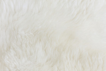 Fur Texture./Fur Texture 