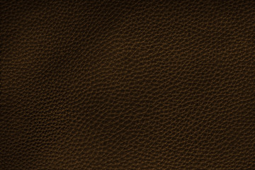 Brown Leather Texture /Brown Leather Texture 
