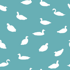 white waterfowl birds on blue background