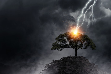 Bright lightning hit the tree