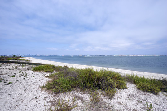 Silverstrand beach on Coronado Island, looking towards San Diego