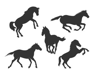 Beautiful Horse Silhouettes Pack