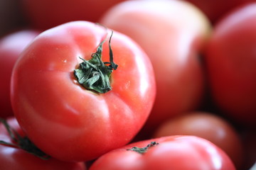 トマト／Tomato
