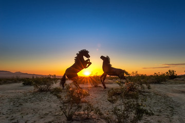 Sunrise with Horses