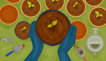 Hands Plant Pot Seedlings