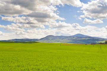 Horse ranch, fields and pastures