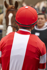 Jockey detail before the race. Hippodrome background. Racehorse.