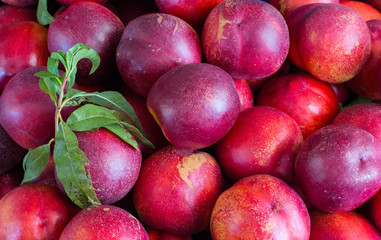 Reife Nektarienen auf Wochenmarkt