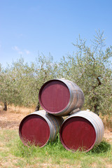 Obraz premium Weinfässer auf Weingut, Chianti, Toskana