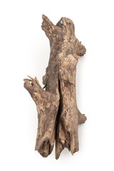 Old dry branch on a white background