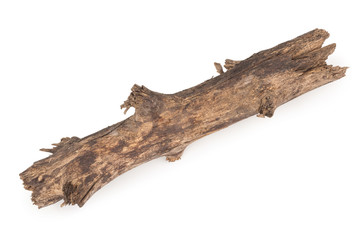 Old dry branch on a white background