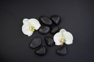 Obraz na płótnie Canvas Spa/wellness concept. Zen stones with orchids top view. Flatlay. 