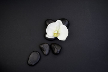 Fototapeta na wymiar Spa/wellness concept. Zen stones with orchids top view. Flatlay. 