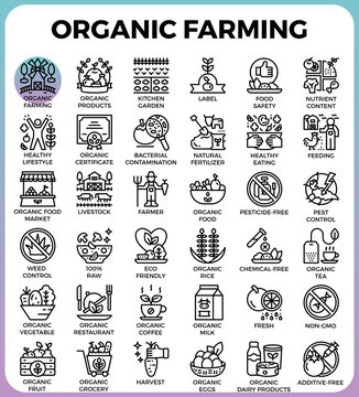 Organic farming concept detailed line icons