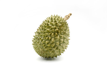 Durian fruit on white background