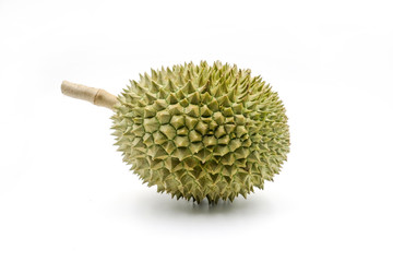 Durian fruit on white background