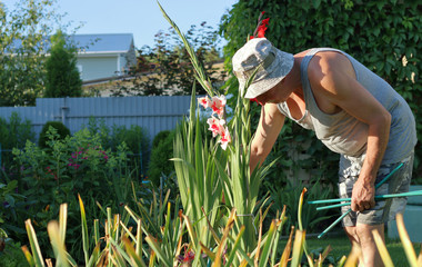 Senior gardener digging in a garden. Gardening concept a new plant.