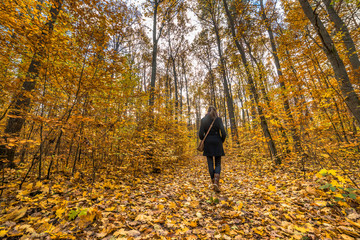 Woman walking in the forest, autumn landscape with fallen leaves