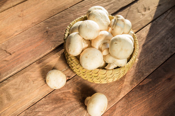 Mushrooms champignons in a basket