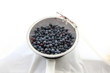 ブルーベリーとメガネ