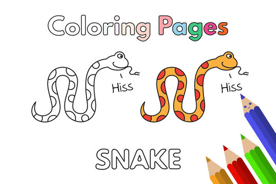 Cartoon Snake Coloring Book