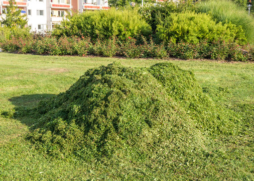 Grashaufen Rasenmähen