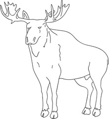 Hand drawn doodle sketch, illustration of wild moose, black outline, blank, logo element, print, coloring for adults kids