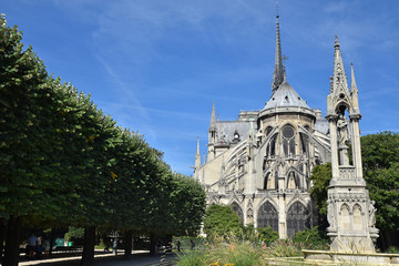Fototapeta na wymiar Chevet de Notre-Dame à Paris en été, France