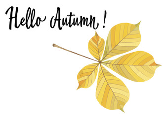 Autumn yellow leaf of a chestnut isolated on white background. Vector Illustration