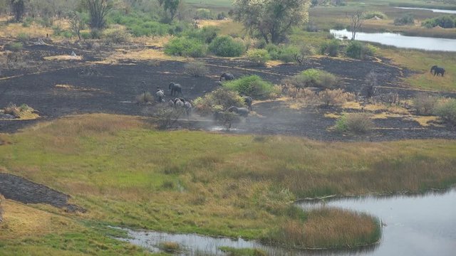 Helicopter Safari in the Okavango Delta (Botswana; 4k footage)